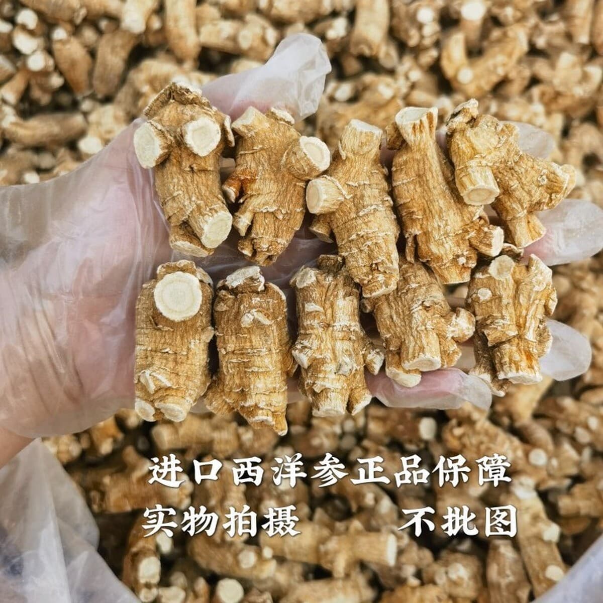 Импорт канадского американского женьшеня в течение 15 лет