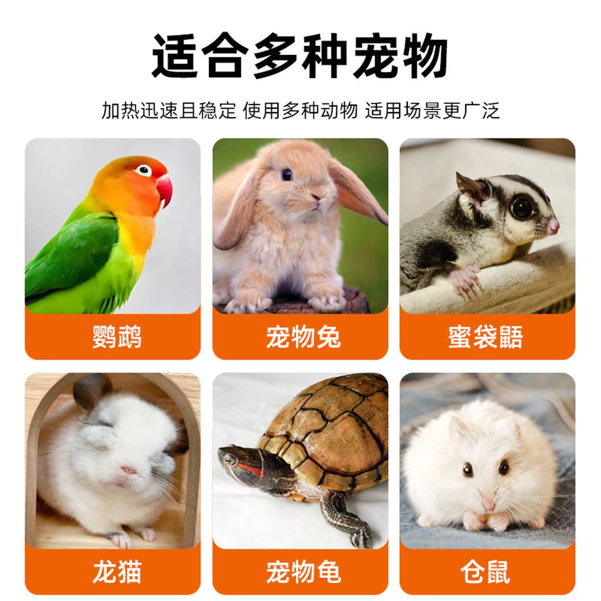 Домашнего попугая обогреватель Рудинг Курица рептилия для животных Коробка для кормления Тепловая лампа Изоляционные лампы...