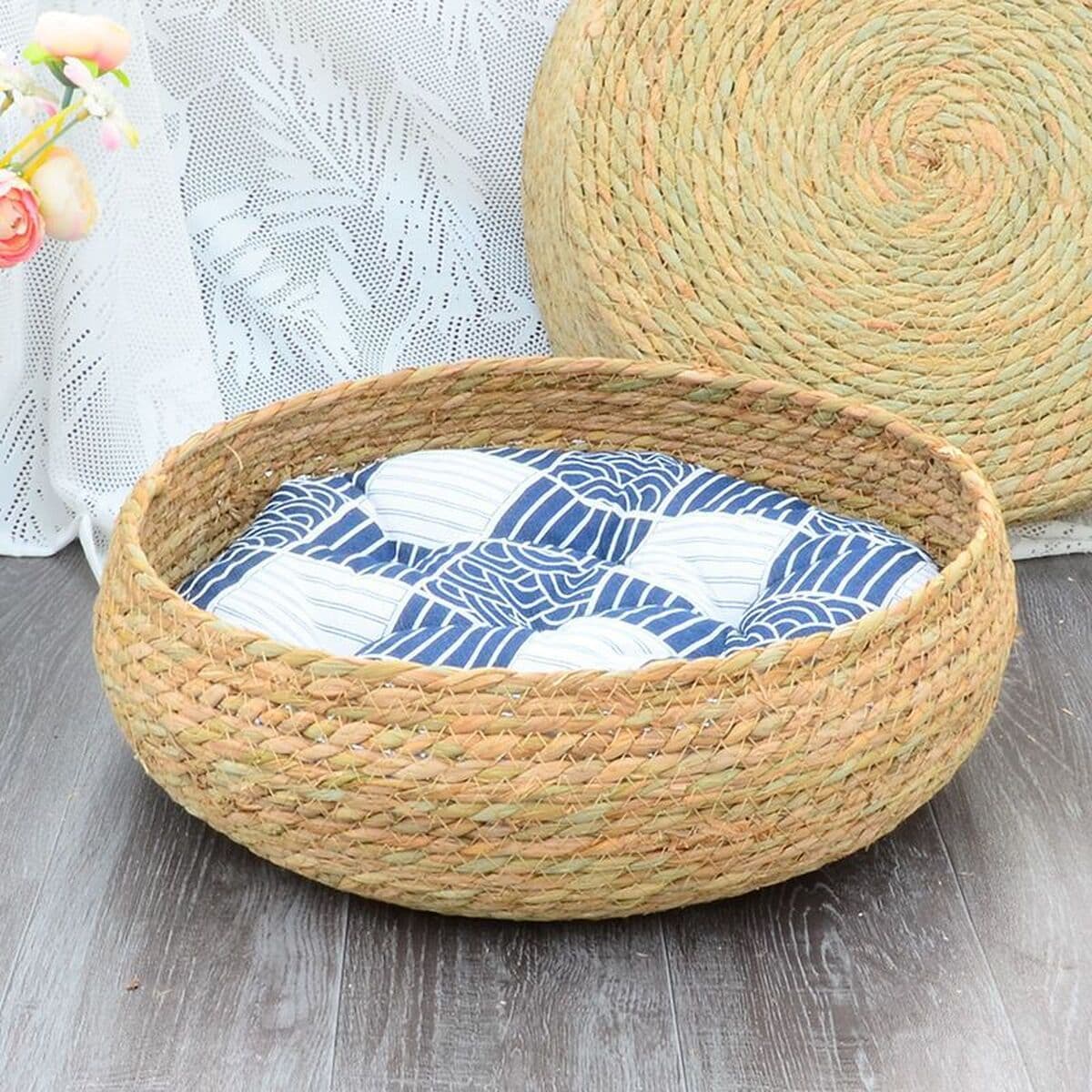 Кошачье гнездо четыре сезона универсальное летом