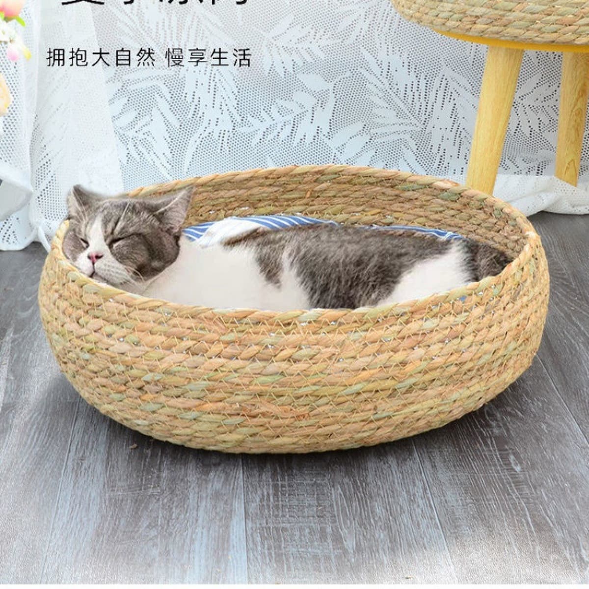 Кошачье гнездо четыре сезона универсальное летом