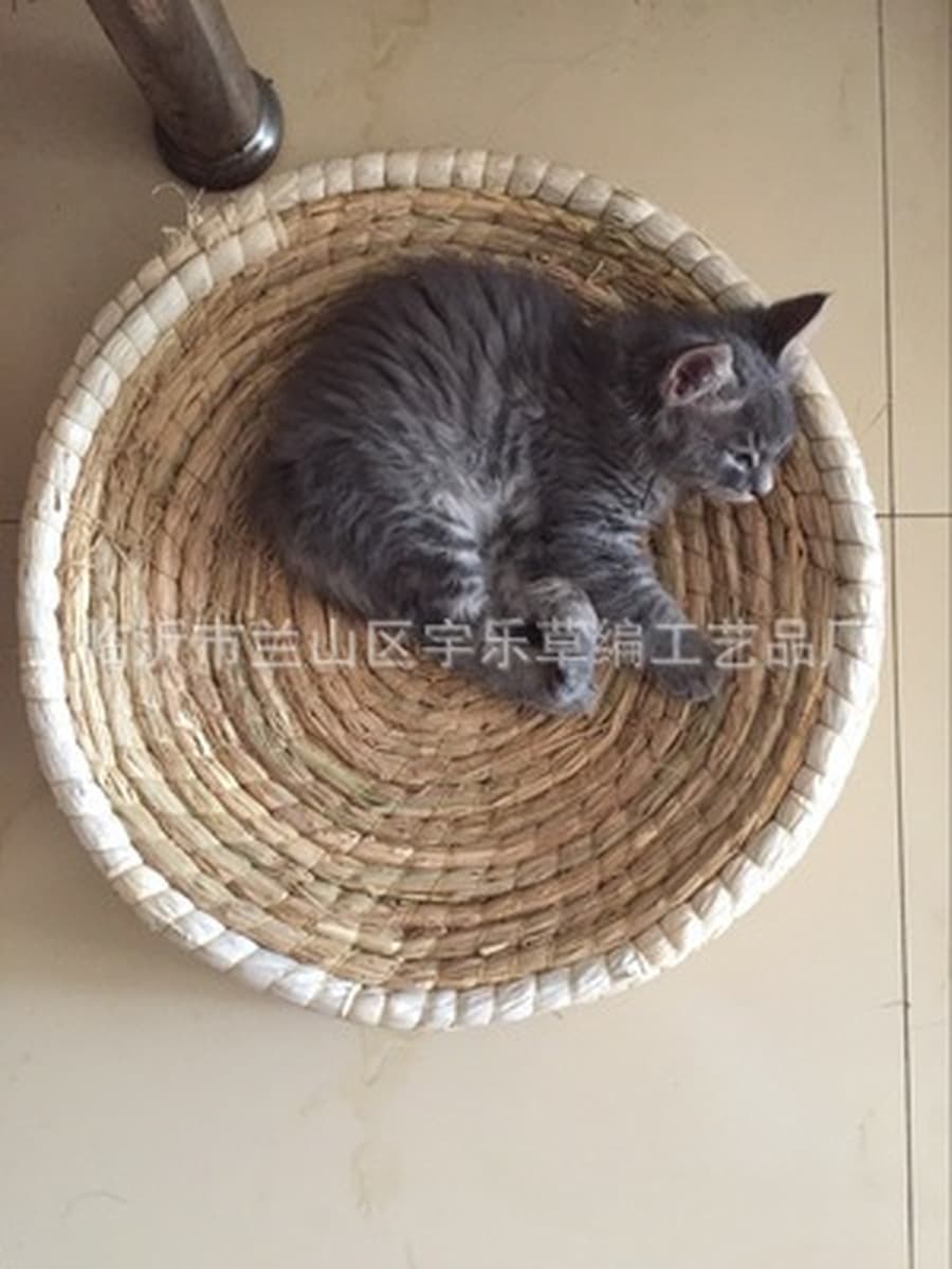 Гнездо для домашних животных Летнее кошачье гнездо Большое гнездо для домашних животных Кошка Когтеточка Собачье гнездо...