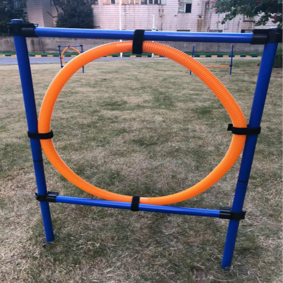 Спортивное оборудование для домашних животных Фиксированные тренировочные принадлежности Спорт на открытом воздухе Кольцо...