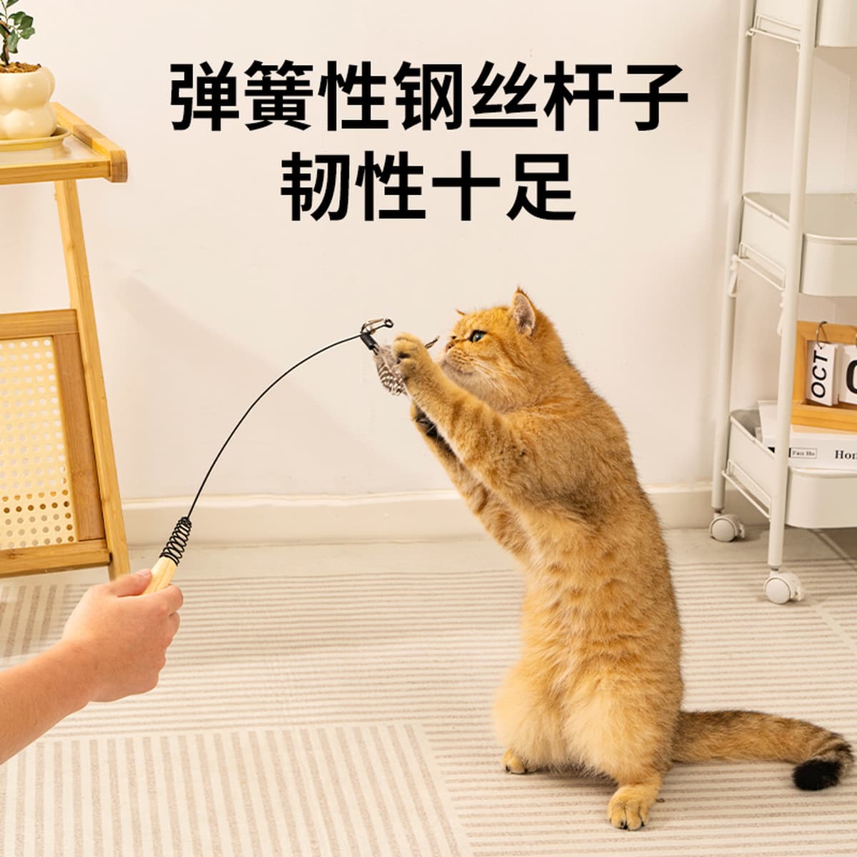 Игрушка-дразнилка для кошек с длинным стержнем и сменной головкой из перьев, прочная для царапания и кусания, принадлежности...