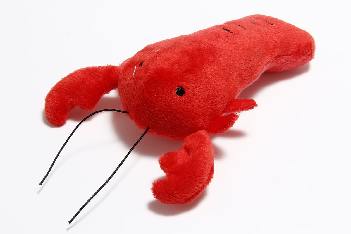 Товары для домашних животных, игрушки для собак, забавные интерактивные звуковые игрушки, звучащие плюшевые игрушки, оптовая...