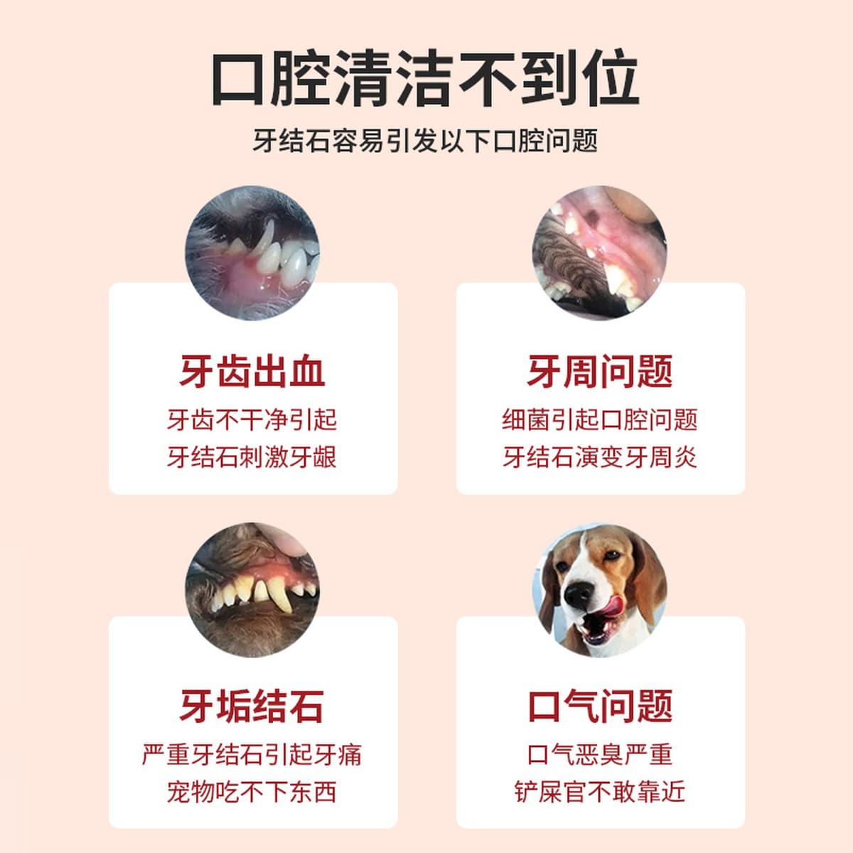 Гель для удаления зубного камня для собак и кошек, инструмент для чистки зубов домашних животных, ручка для чистки зубов...