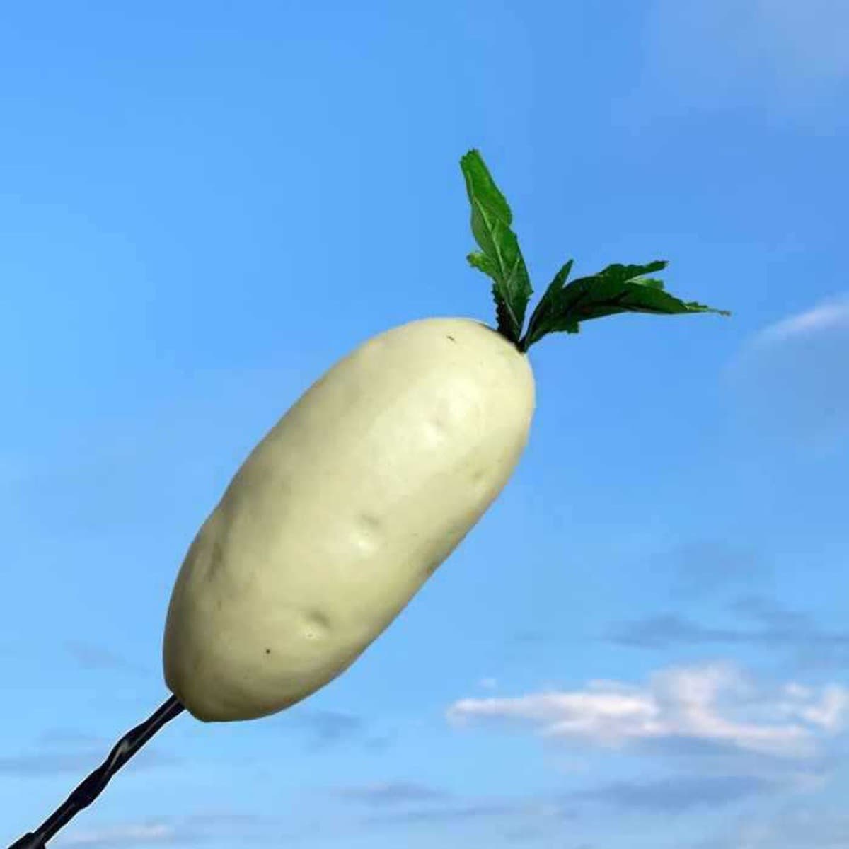 Декоративная внешняя антенна для автомобиля: милый мультяшный фигурка-кактус в стиле фуди для модификации крыши автомобиля