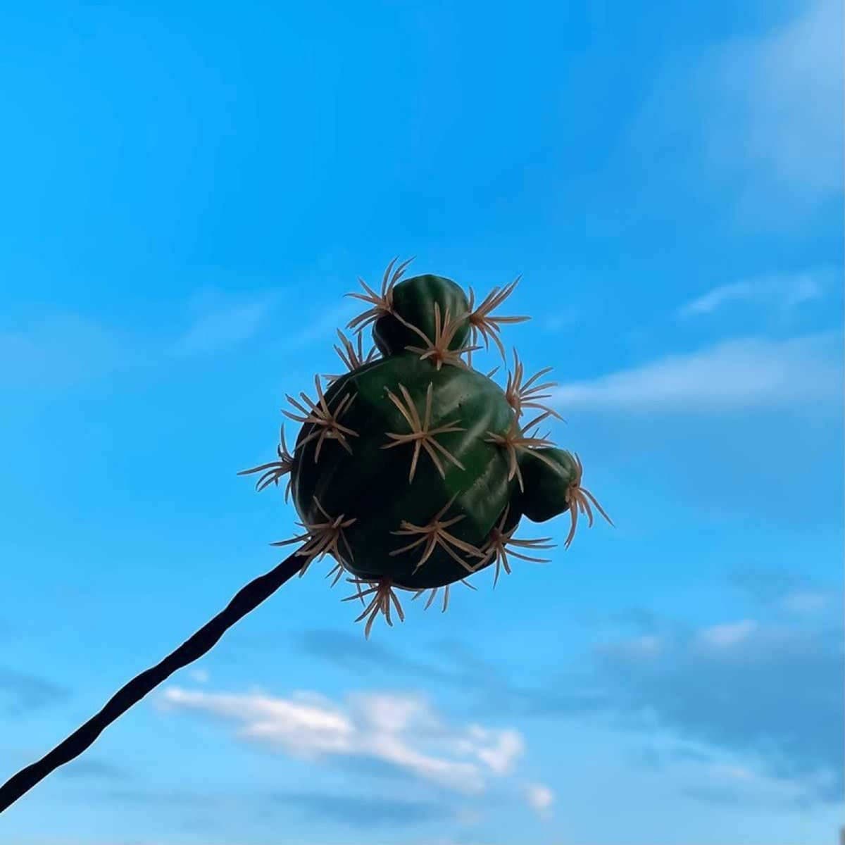 Декоративная внешняя антенна для автомобиля: милый мультяшный фигурка-кактус в стиле фуди для модификации крыши автомобиля