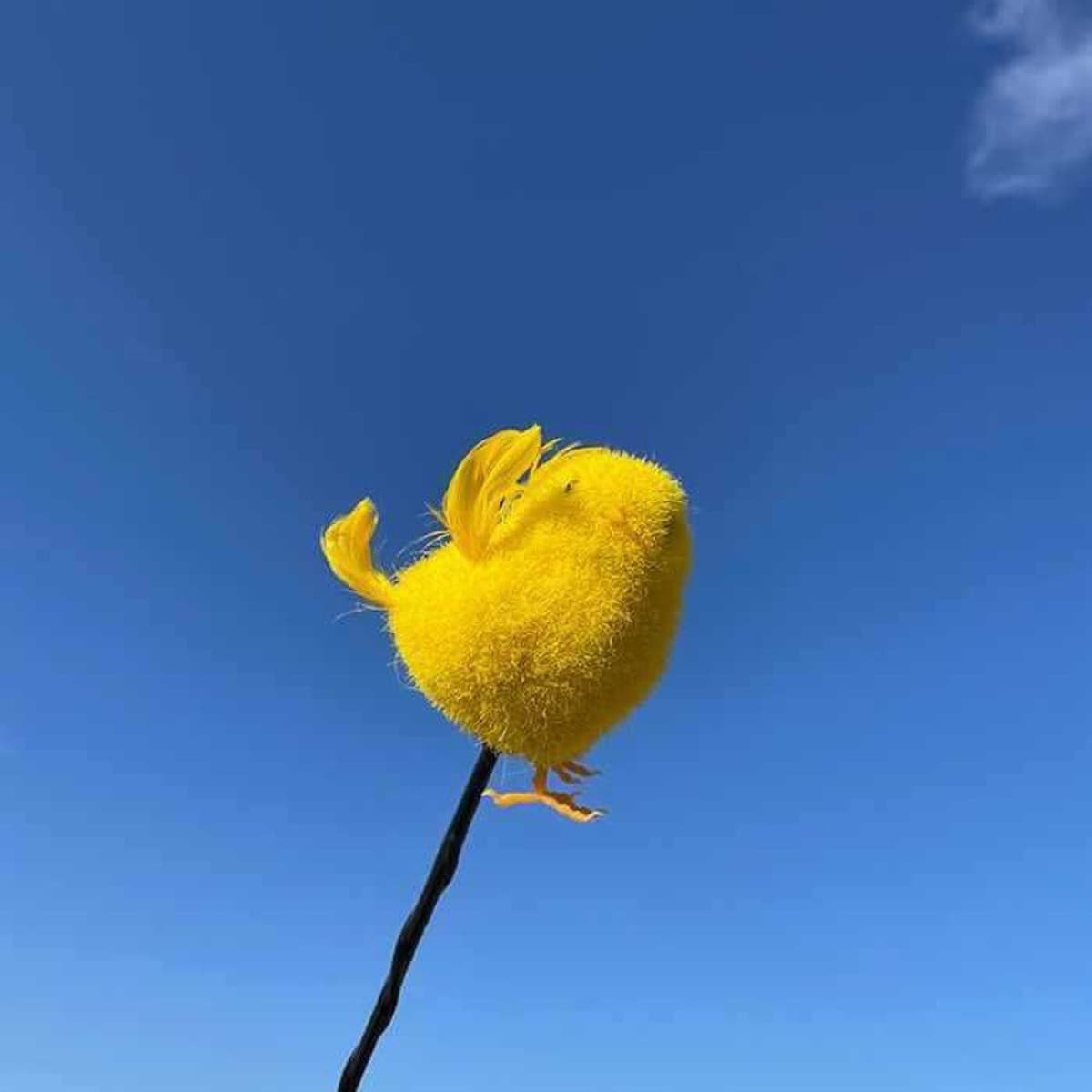 Декоративная внешняя антенна для автомобиля: милый мультяшный фигурка-кактус в стиле фуди для модификации крыши автомобиля