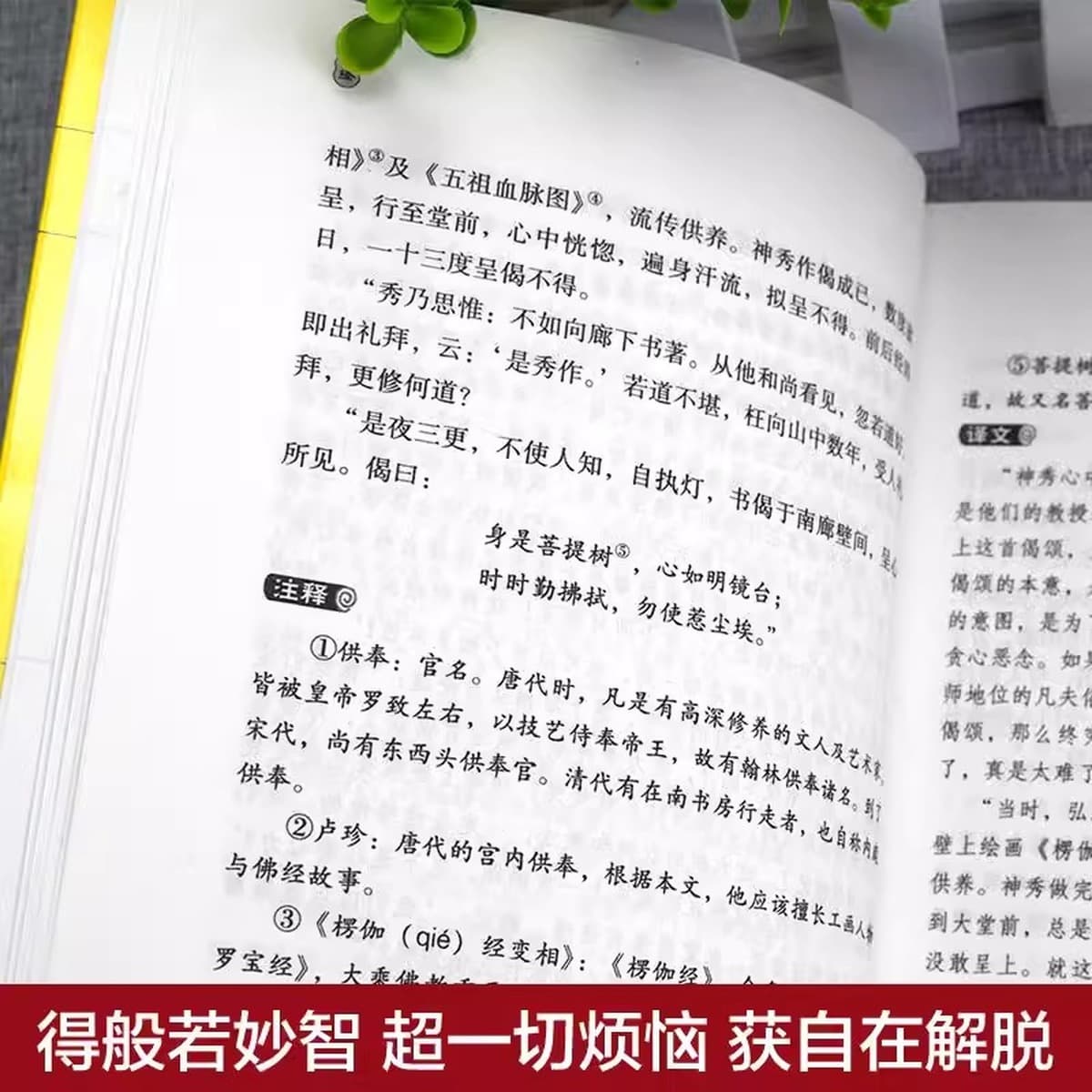 Полные 2 тома Сутры Шестого Патриарха Даймонд-Сутры и Сутры Сердца, оригинальный текст в народных буддийских канонах и книге...